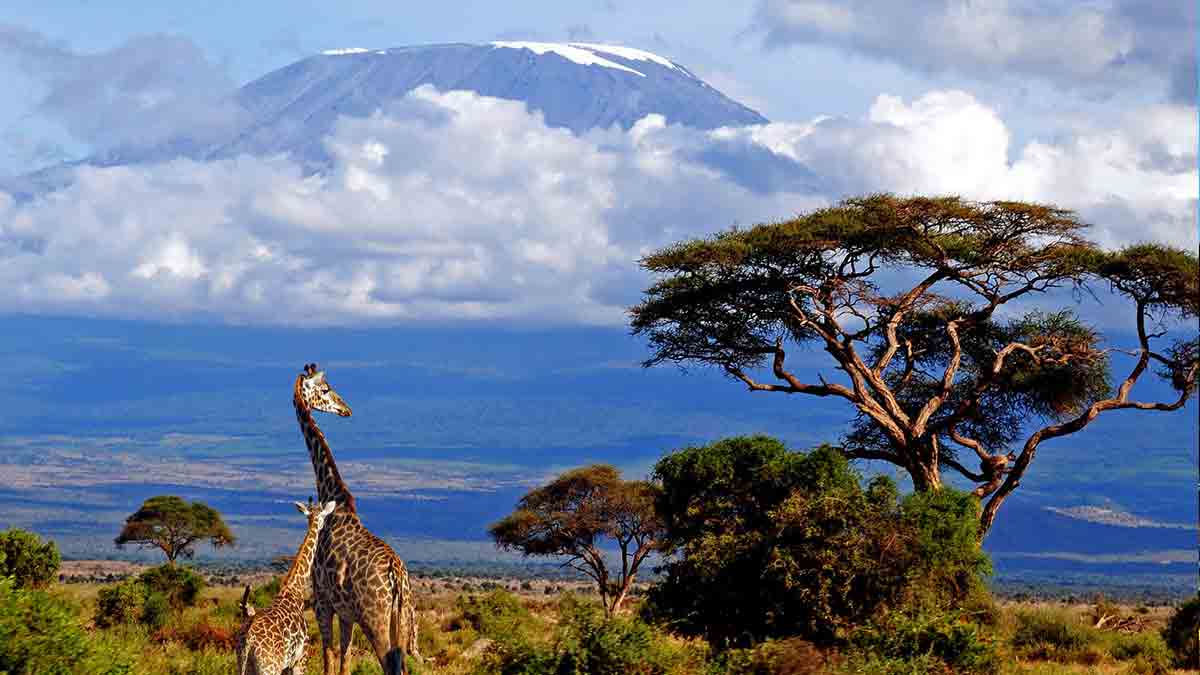 mount kilimanjaro africa
